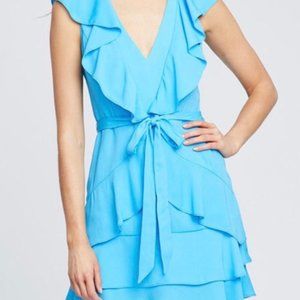 NWT Rachel Roy Felicia Dress (10)
